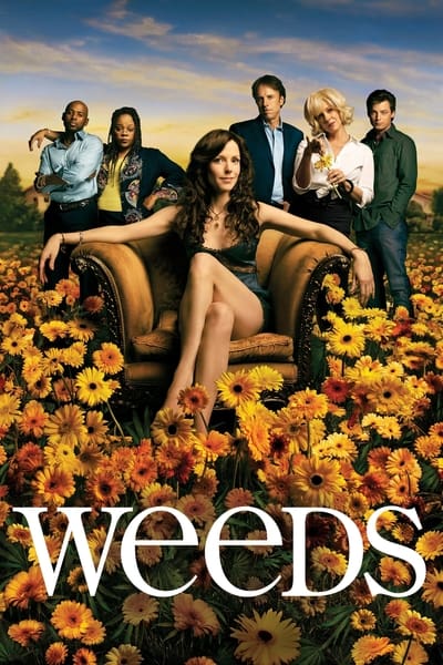 Regarder Weeds - Saison 2 en streaming complet