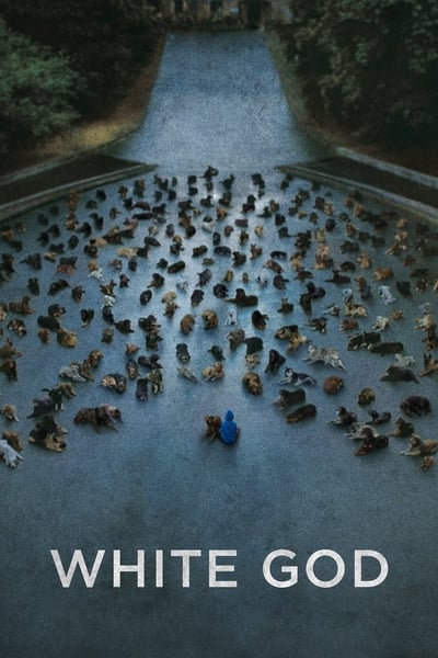 Regarder White God en streaming complet