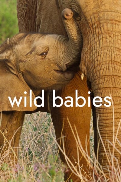 Regarder Wild Babies : Petits et Sauvages - Saison 1 en streaming complet