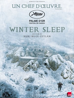 Regarder Winter Sleep en streaming complet