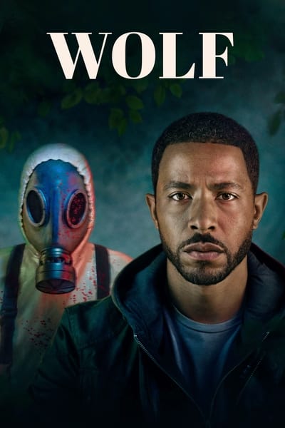 Regarder Wolf - Saison 1 en streaming complet