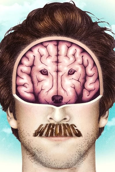 Regarder Wrong en streaming complet