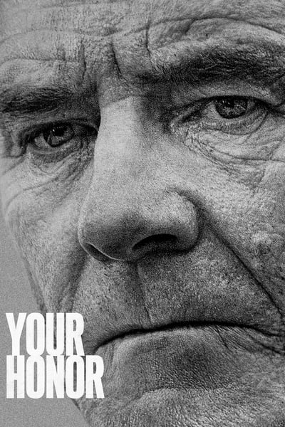 Regarder Your Honor - Saison 1 en streaming complet